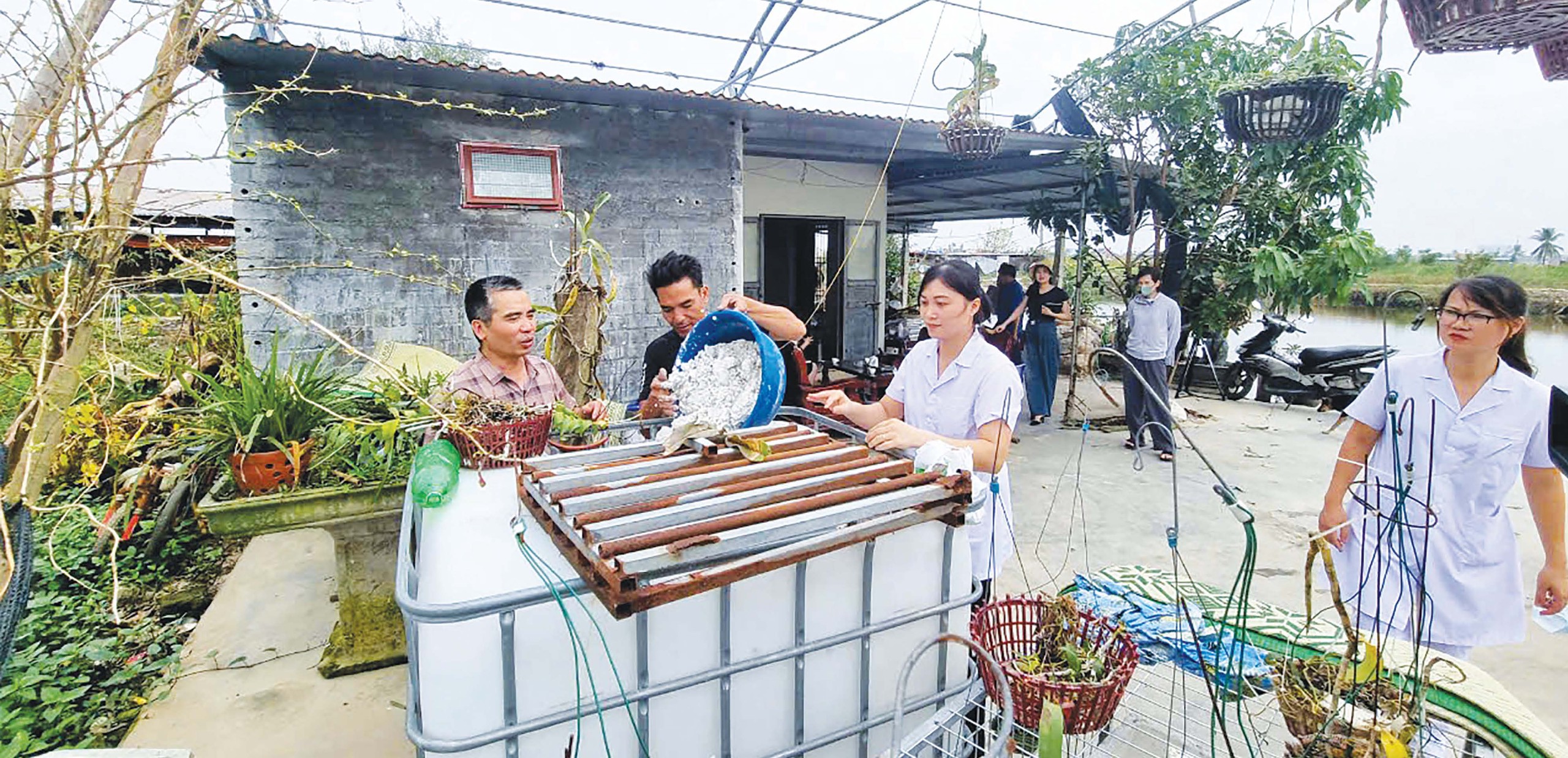 Bộ Y tế tăng cường phát hiện sớm các nguy cơ dịch bệnh tại cộng đồng và cơ sở y tế- Ảnh 1.